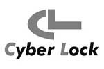 Cyber Lock